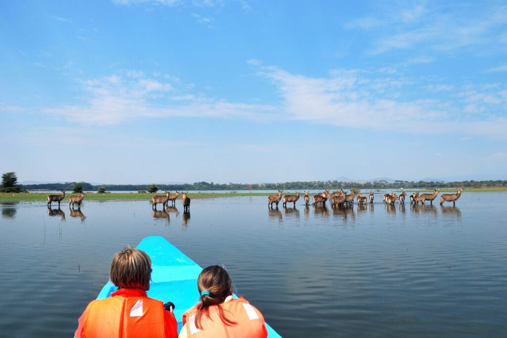 Sejltur på Lake Naivasha