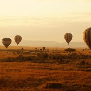 Luftballoner Masai Mara