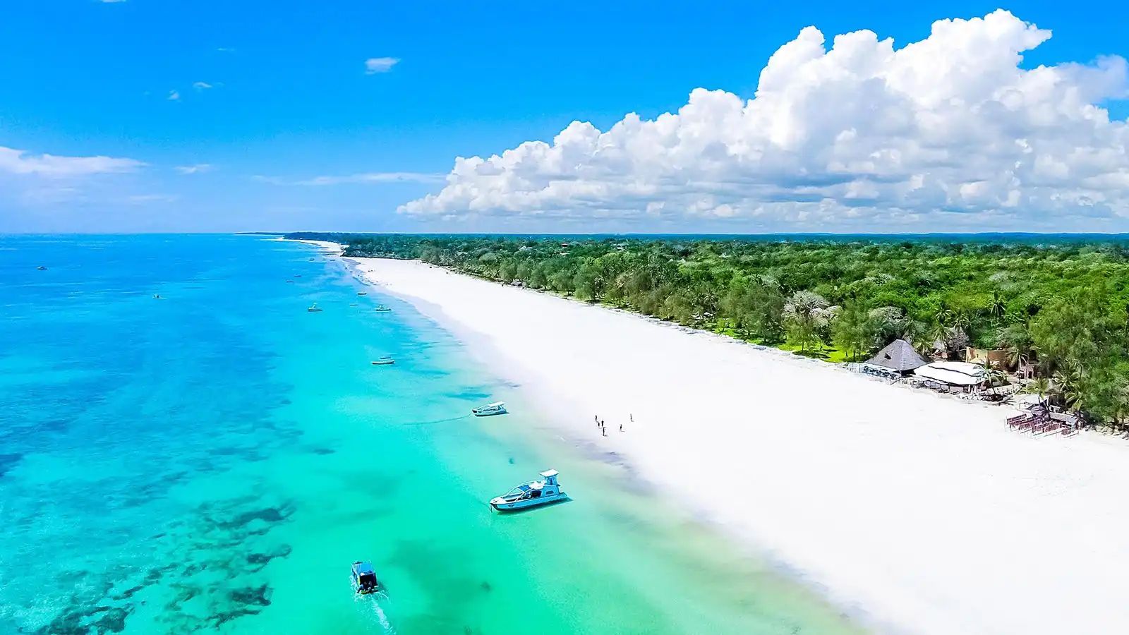 Page-1-Diani-Beach_edit_1600_900 » Tembo Safari