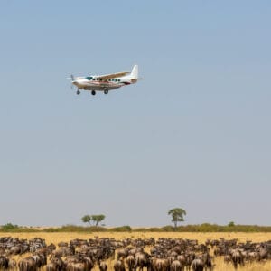 Savannefly over Masai Mara