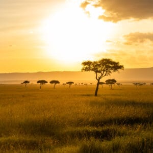 Solnedgang over Masai Maras savanne