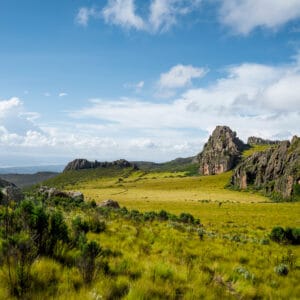 Aberdare bjergkæde i Kenya