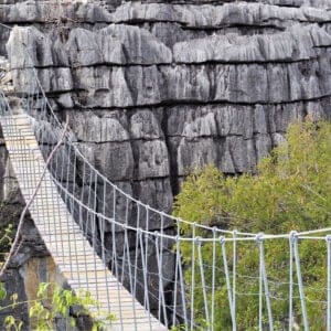 AnkaranaTsingyNationalParkInMadagascar