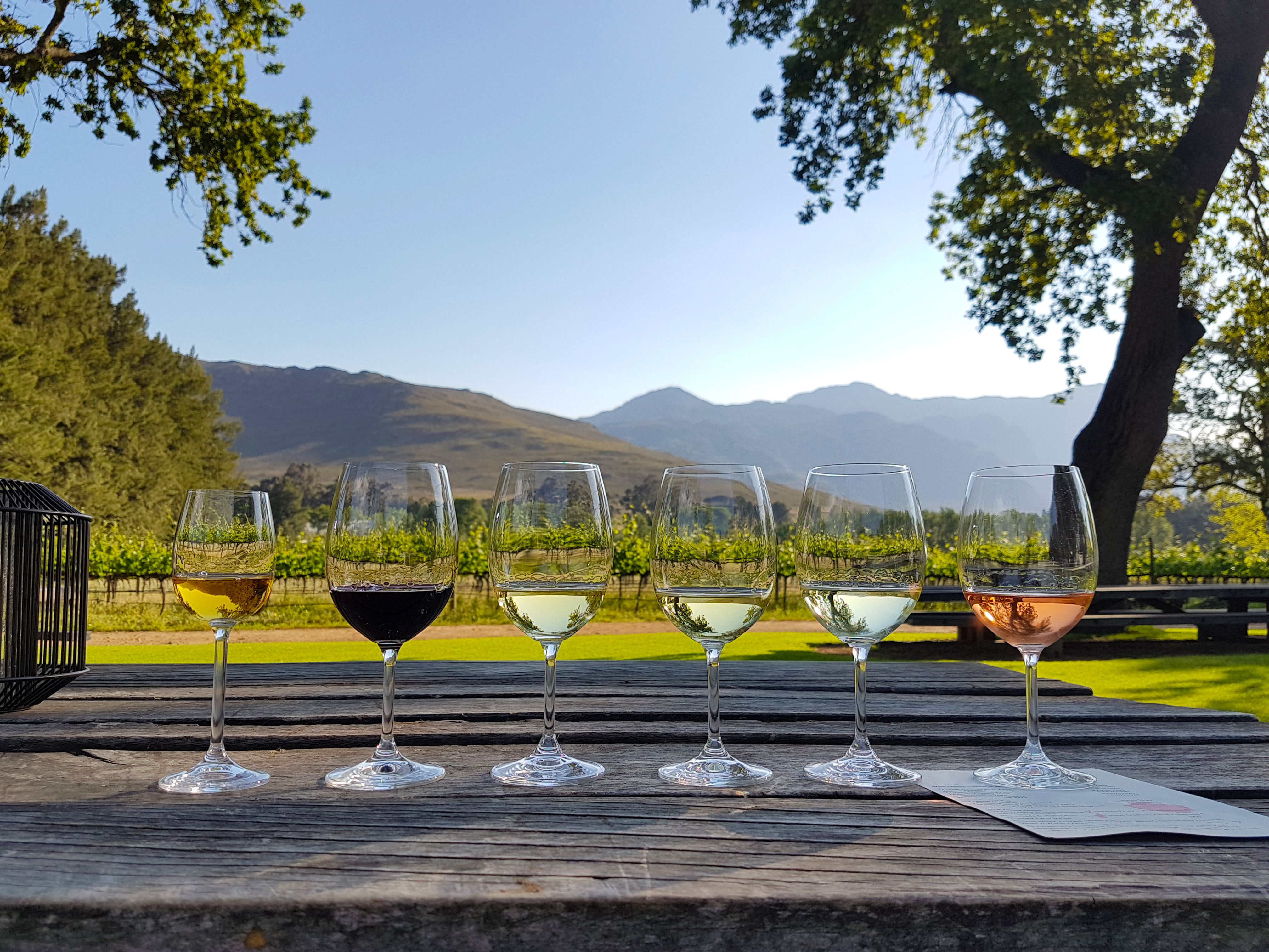 Vinsmagning i Stellenbosch Sydafrika » Tembo Safari Vinsmagning i Stellenbosch Sydafrika