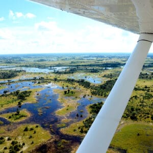 Savannefly over Okavango Delta