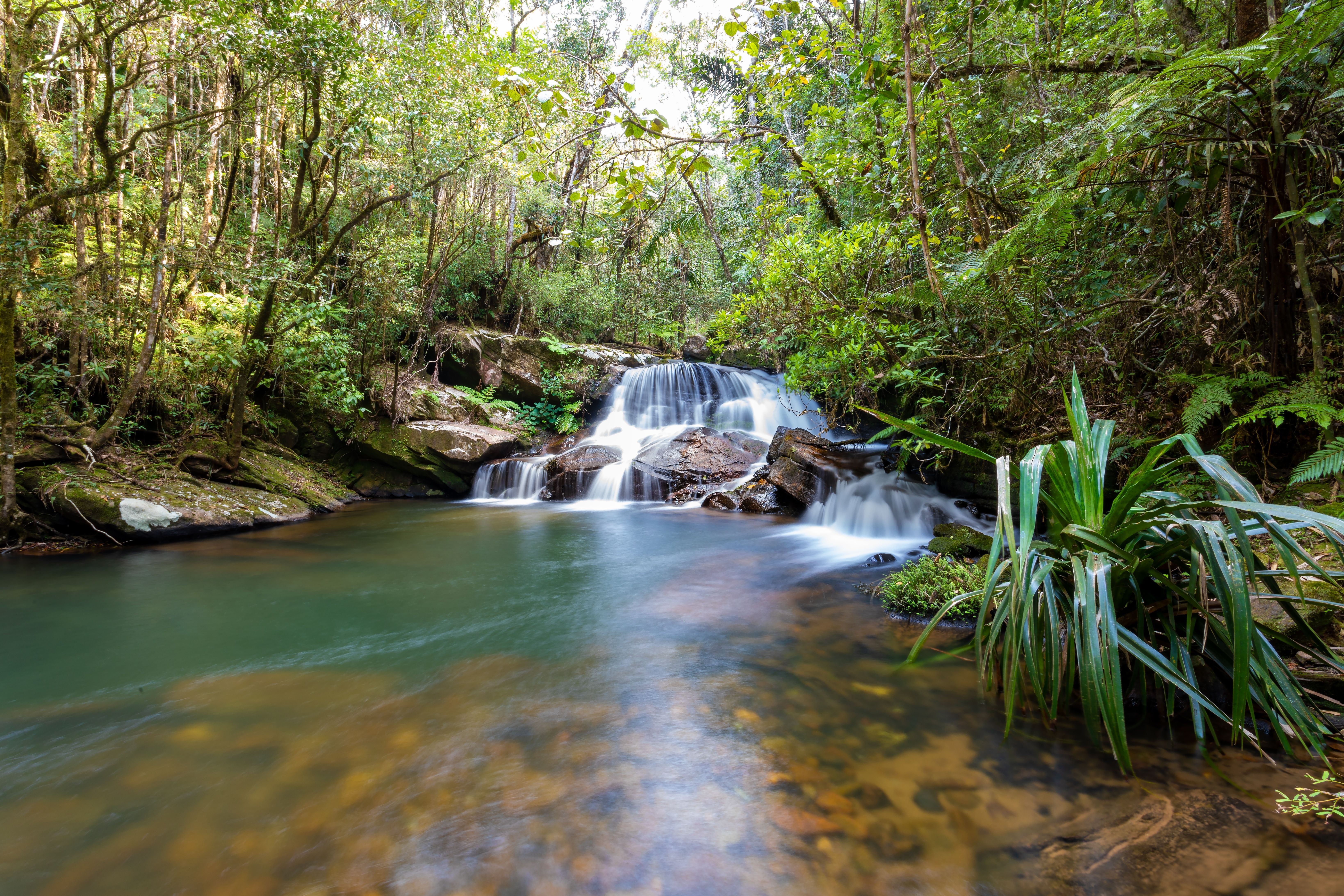 RainForestWaterfallPureUnattachedNatureLongExposureWaterShot » Tembo Safari