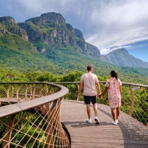 The Boomslang Walkway i Kirstenbosch Botanisk have