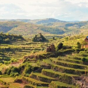 Typisk Madagaskar landskap med ris markerne