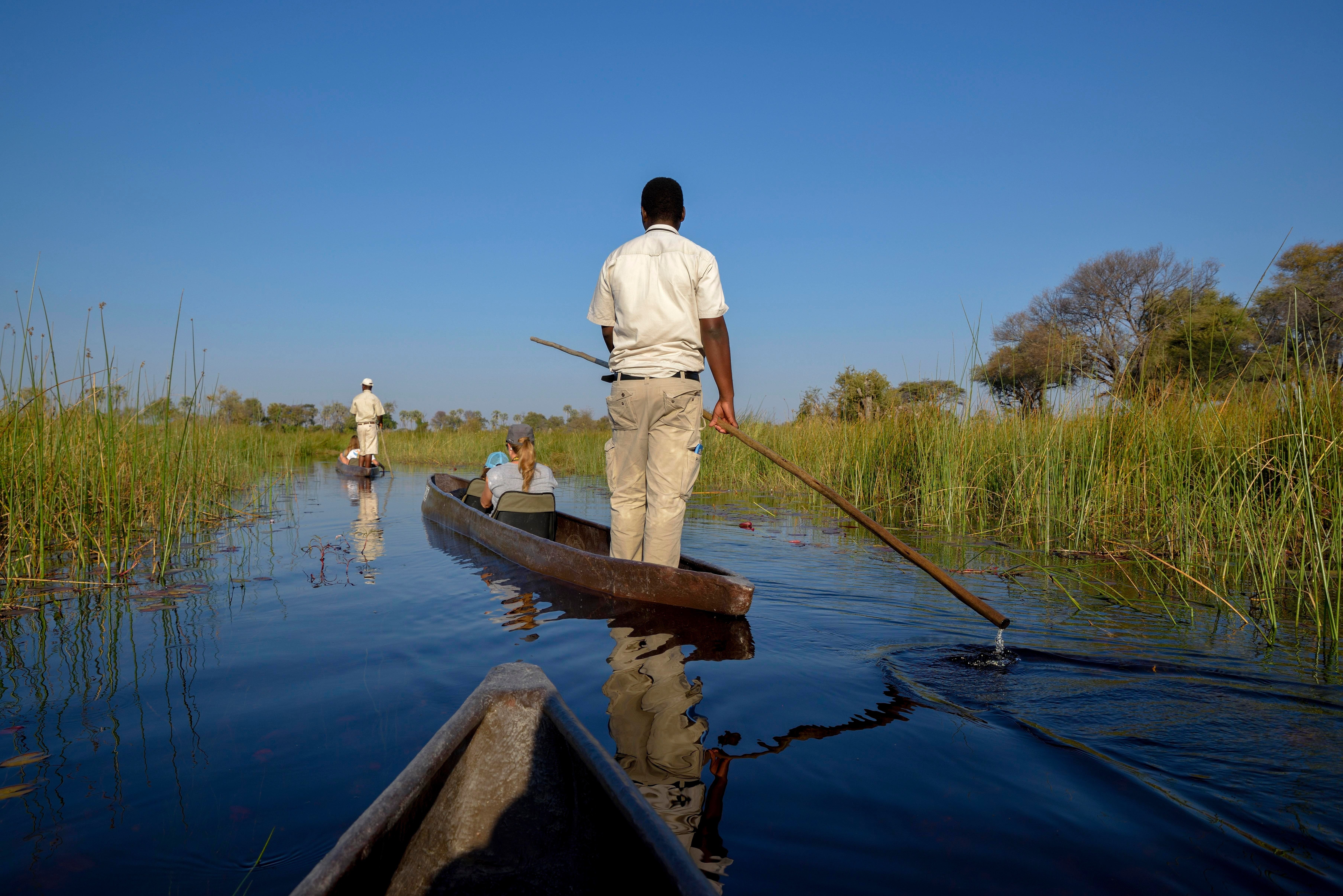 Makoro sejltur i Okavango Delta med gæster » Tembo Safari Makoro sejltur i Okavango Delta med gæster