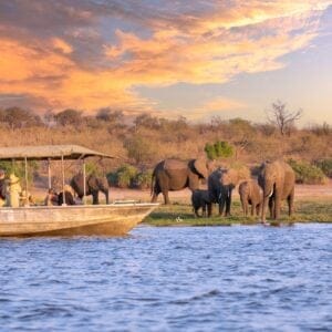 Bådsafari på Chobe Floden i Chobe Nationalparken