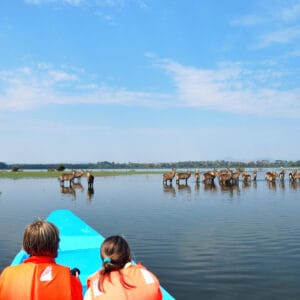 Sejltur bland Waterbuck på Naivasha Søen