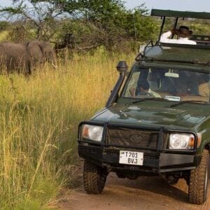 SerengetiMigrationCamp—Game-Drive