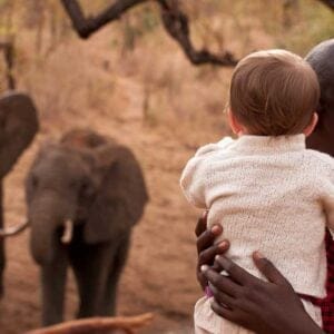 Tarangire-treetops-elephant-hole