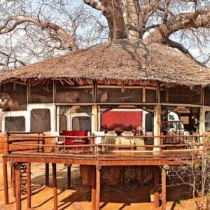 TarangireTreetops—Room-Exterior-2