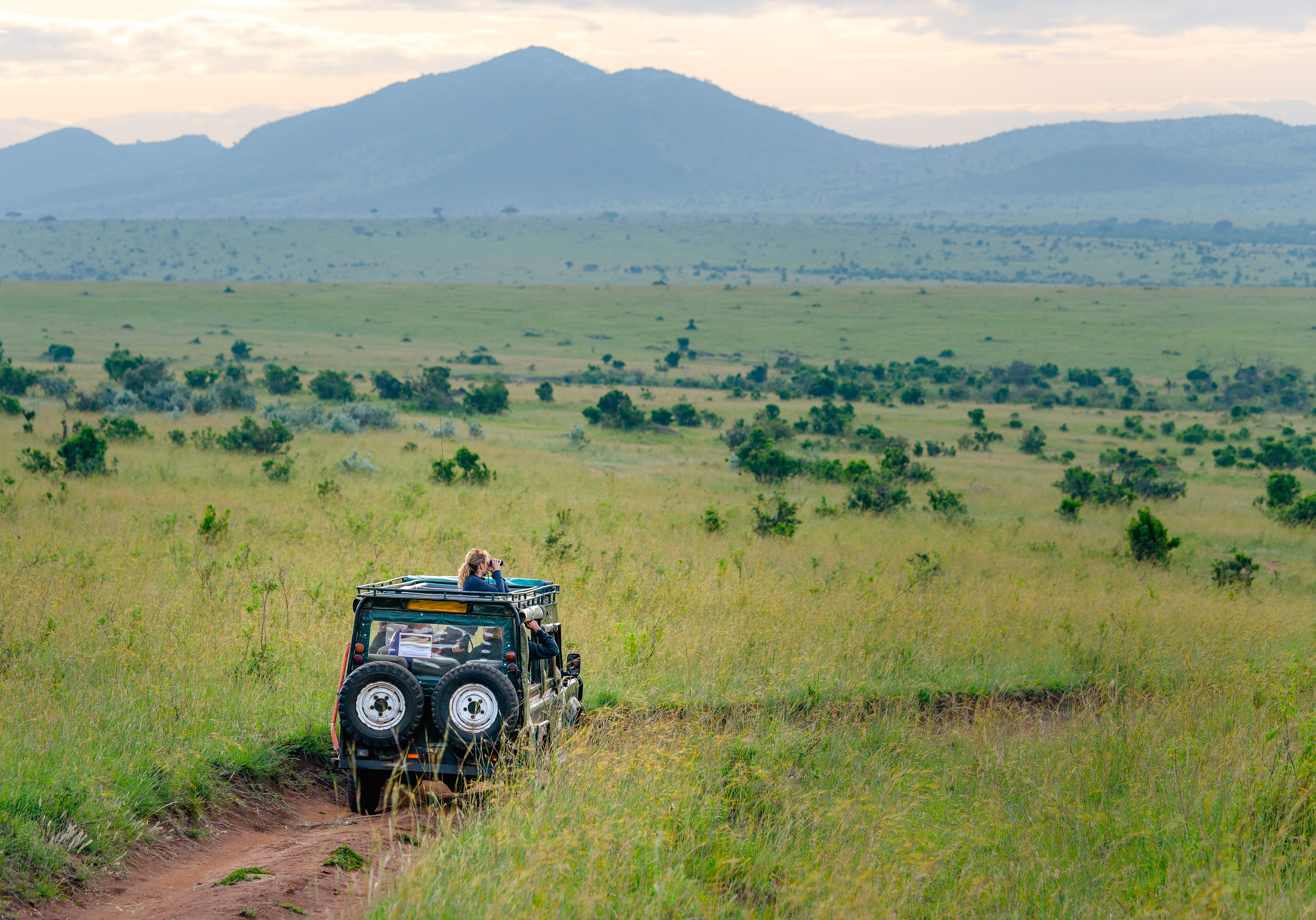 Safaribil i Serengeti i Tanzania » Tembo Safari Safaribil i Serengeti i Tanzania