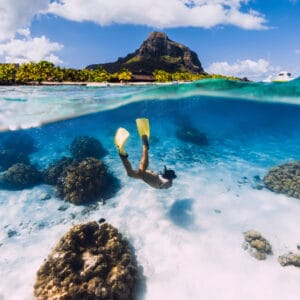 Gæsten der snorkler i Mauritius