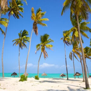 Flotte strand med hvide sand og palmer på Zanzibar