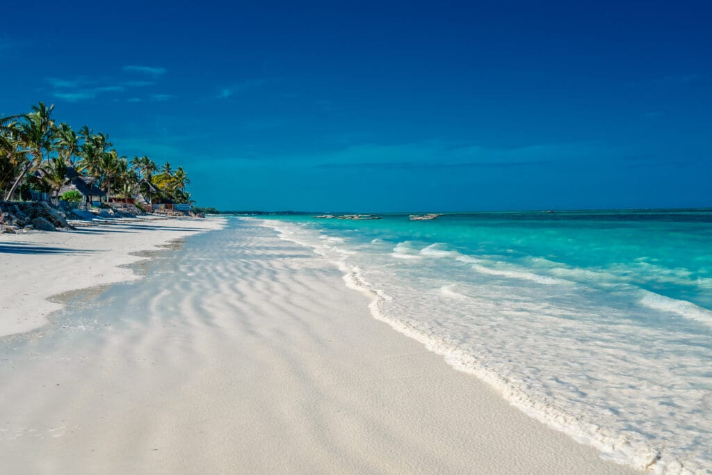 Jambiani Strand Zanzibar Tanzania » Tembo Safari Jambiani Strand Zanzibar Tanzania