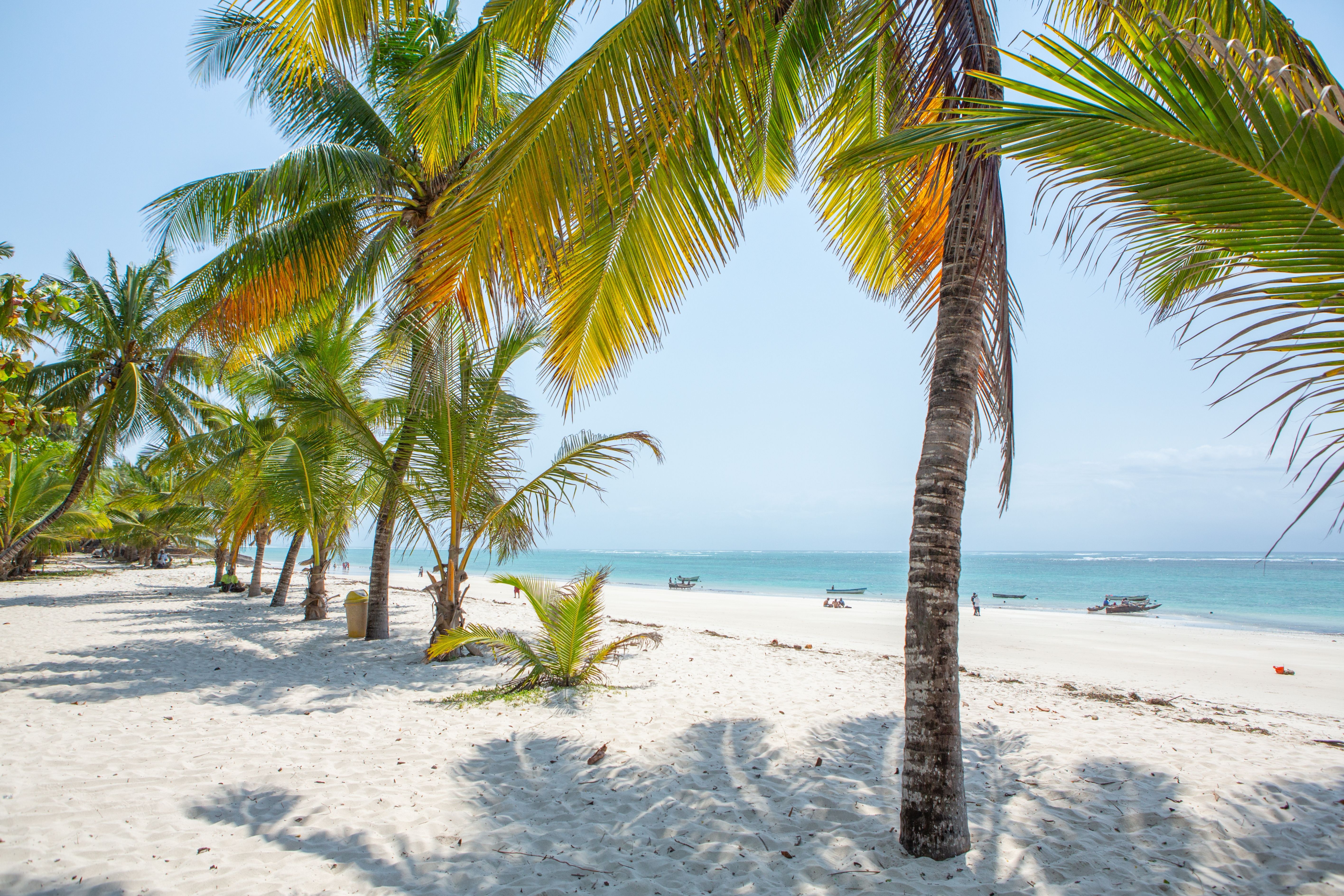 Diani Beach på kenyakysten » Tembo Safari Diani Beach på kenyakysten