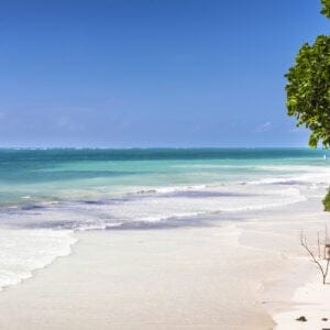 Diani Strand med hvide sand og turkis blå vand