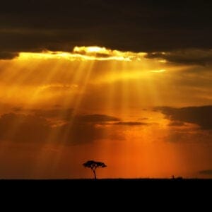 Solnedgang over Masai Mara Reservat