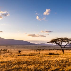 Solnedgang over savanne i Tsavo East Nationalparken