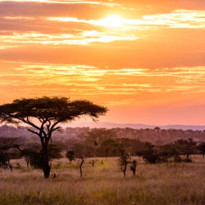 Solnedgang over Savanne i Greater Kruger