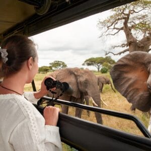 Dame i safaribil med Elefanter tæt på i Tarangire Nationalparken