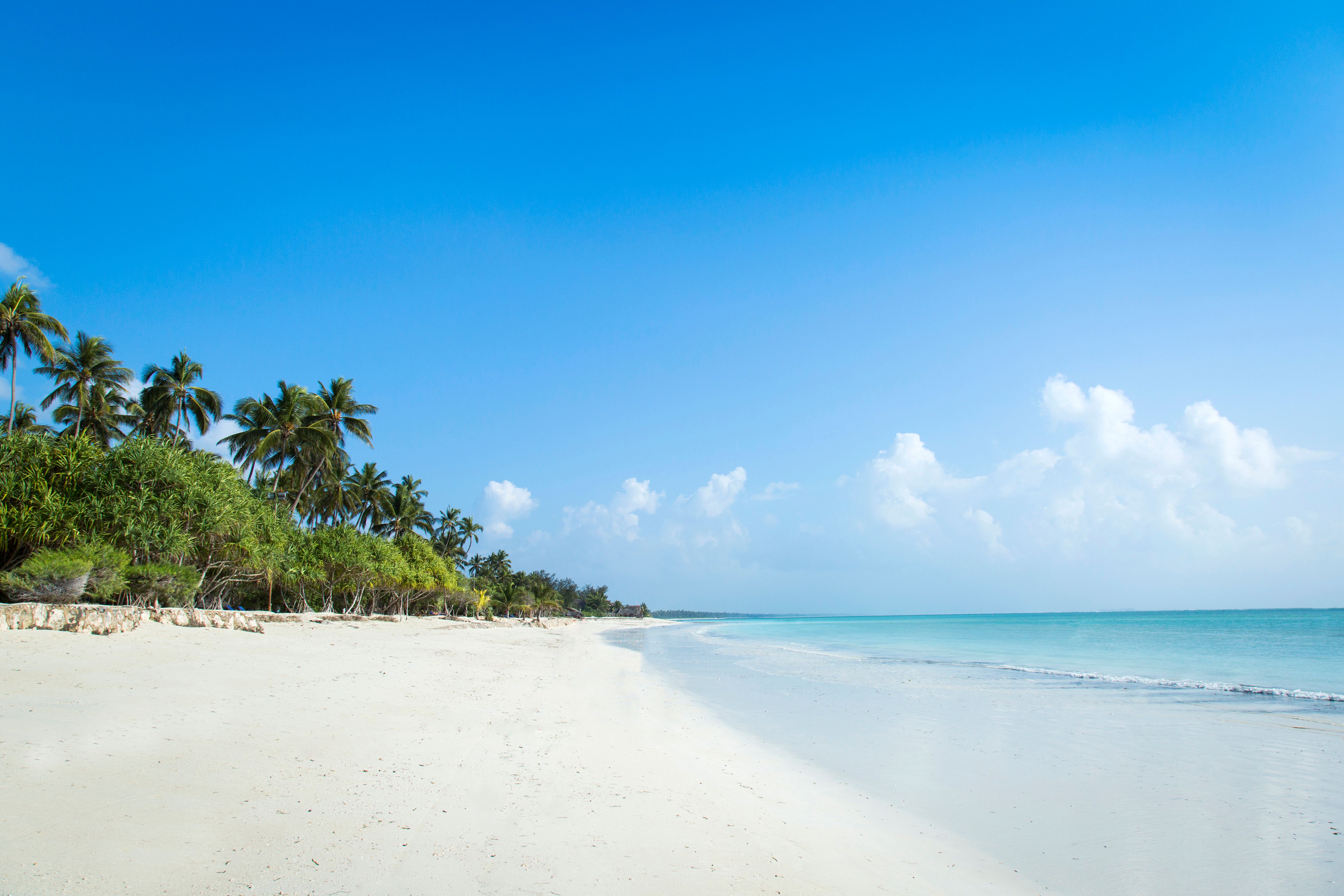 Kiwengwa stranden på Zanzibar » Tembo Safari Kiwengwa stranden på Zanzibar