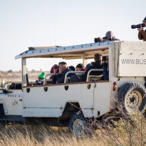 Åben Safari Bil i Botswana på fuld serviceret tur