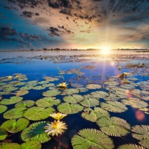 Solnedgang over Chobe Floden