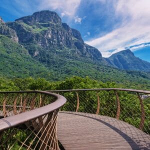 Udsigt fra Boardwalk i Kirstenbosch Botanisk Have