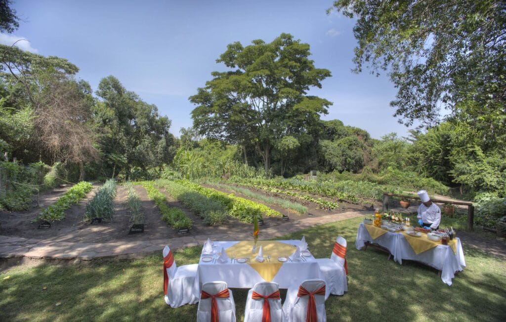 Sarova Mara Game Camp