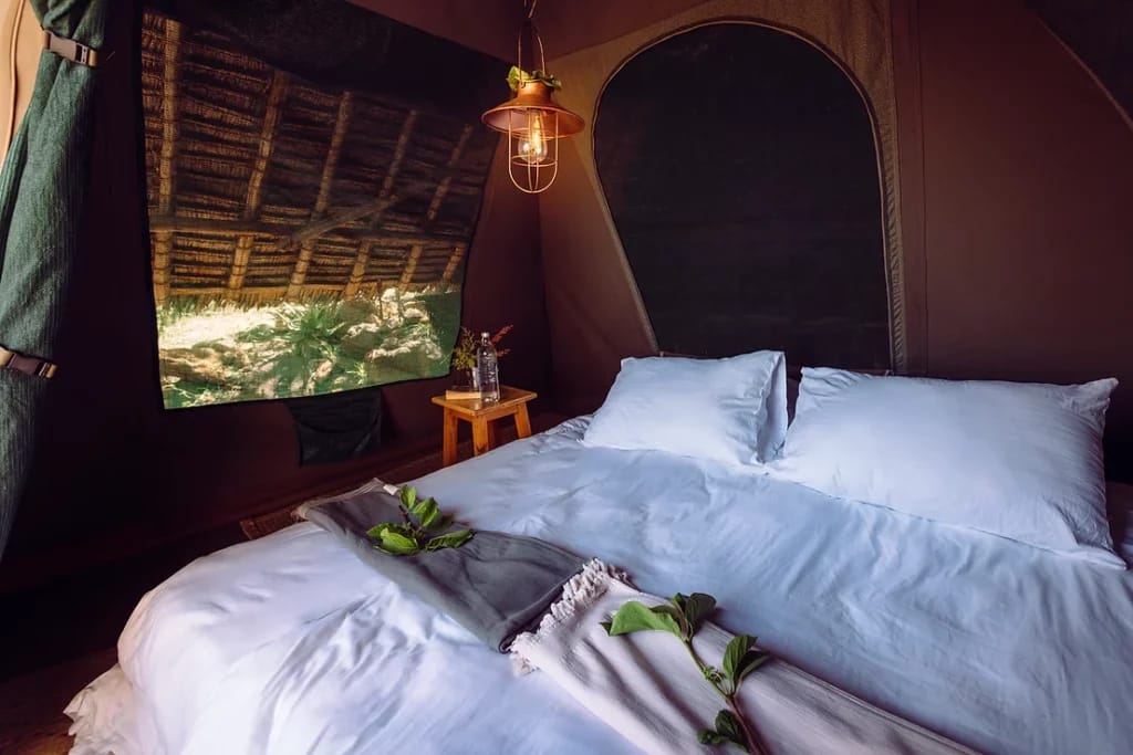 Maji Moto Eco Camp