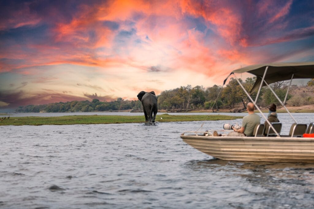 Chobe National Park » Tembo Safari