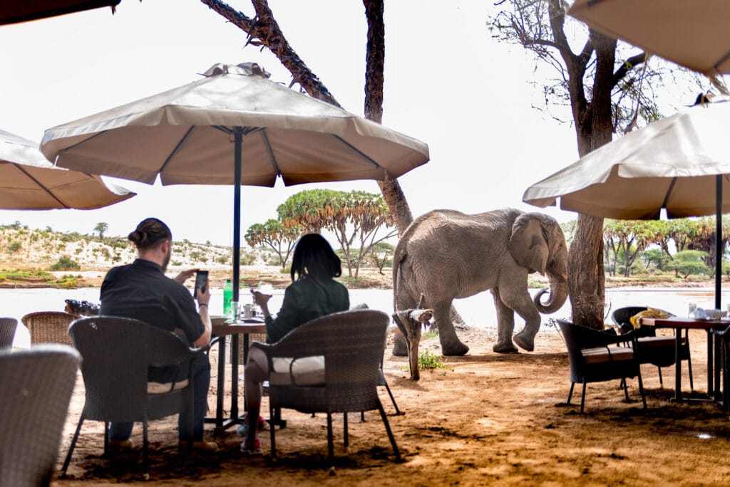 Elephant Bedroom Camp