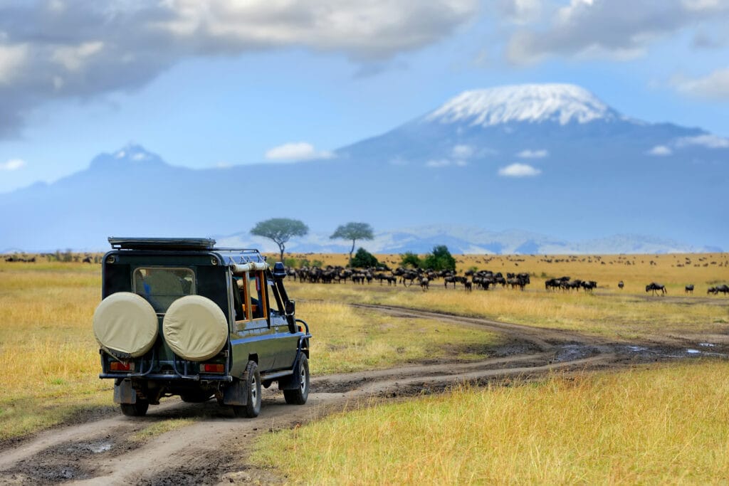 Safari,Game,Drive,With,The,Wildebeest,,Masai,Mara,Reserve,In » Tembo Safari