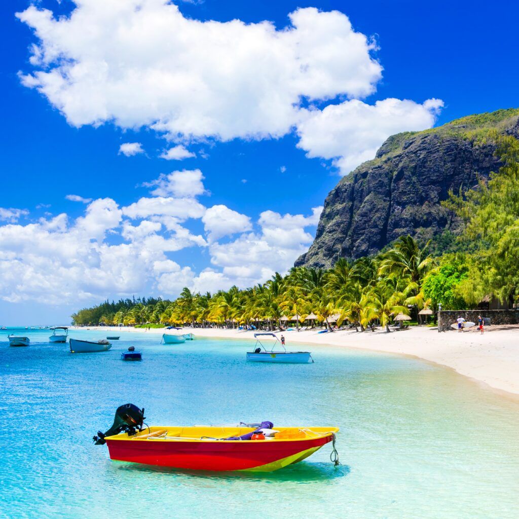 Mauritius » Tembo Safari