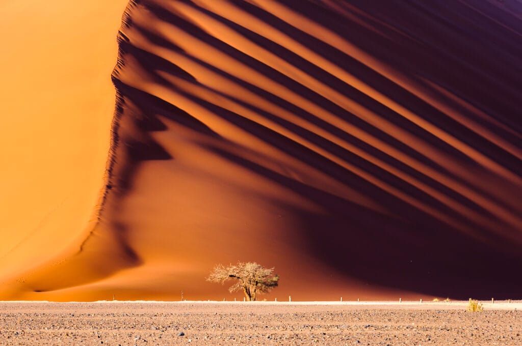 Dune,45,,A,170m,High,Dune,Made,From,Red,Sand, » Tembo Safari