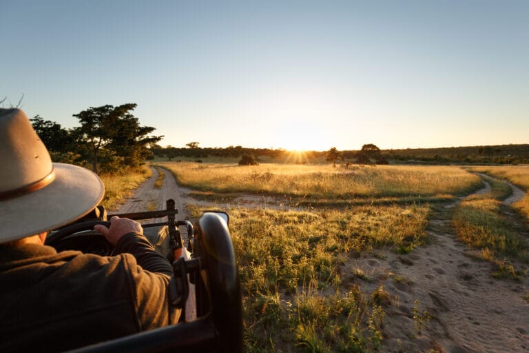Sabi Sands