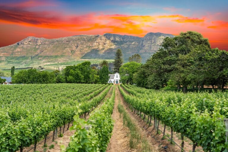 Vinland Stellenbosch og Franschhoek