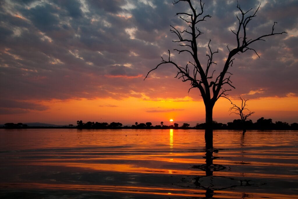 shutterstock_146845208 » Tembo Safari