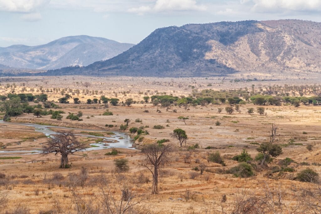 Africa,,Tanzania,,Ruaha,National,Park.,View,Of,The,Landscape,In » Tembo Safari Ruaha