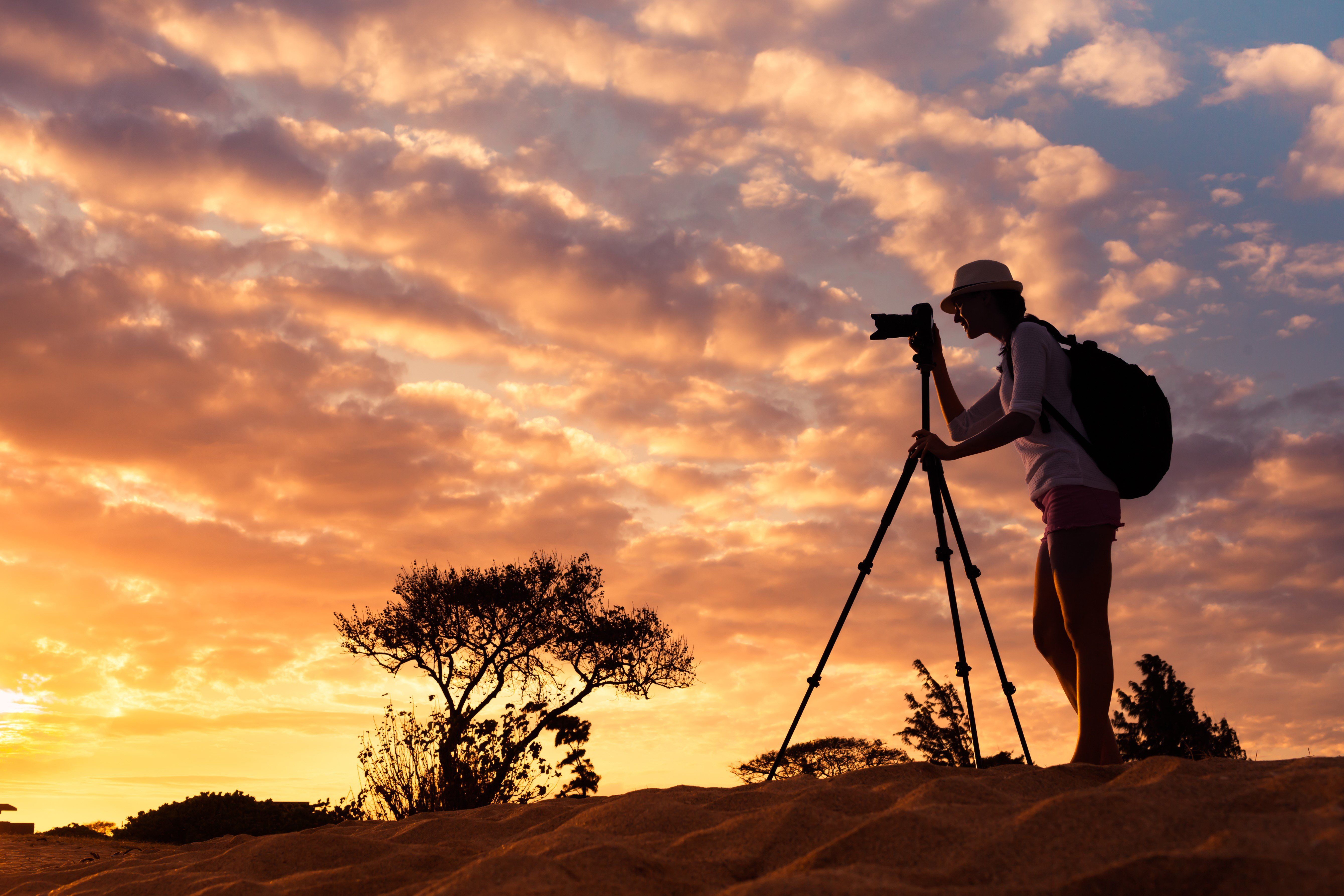shutterstock_450507517 » Tembo Safari