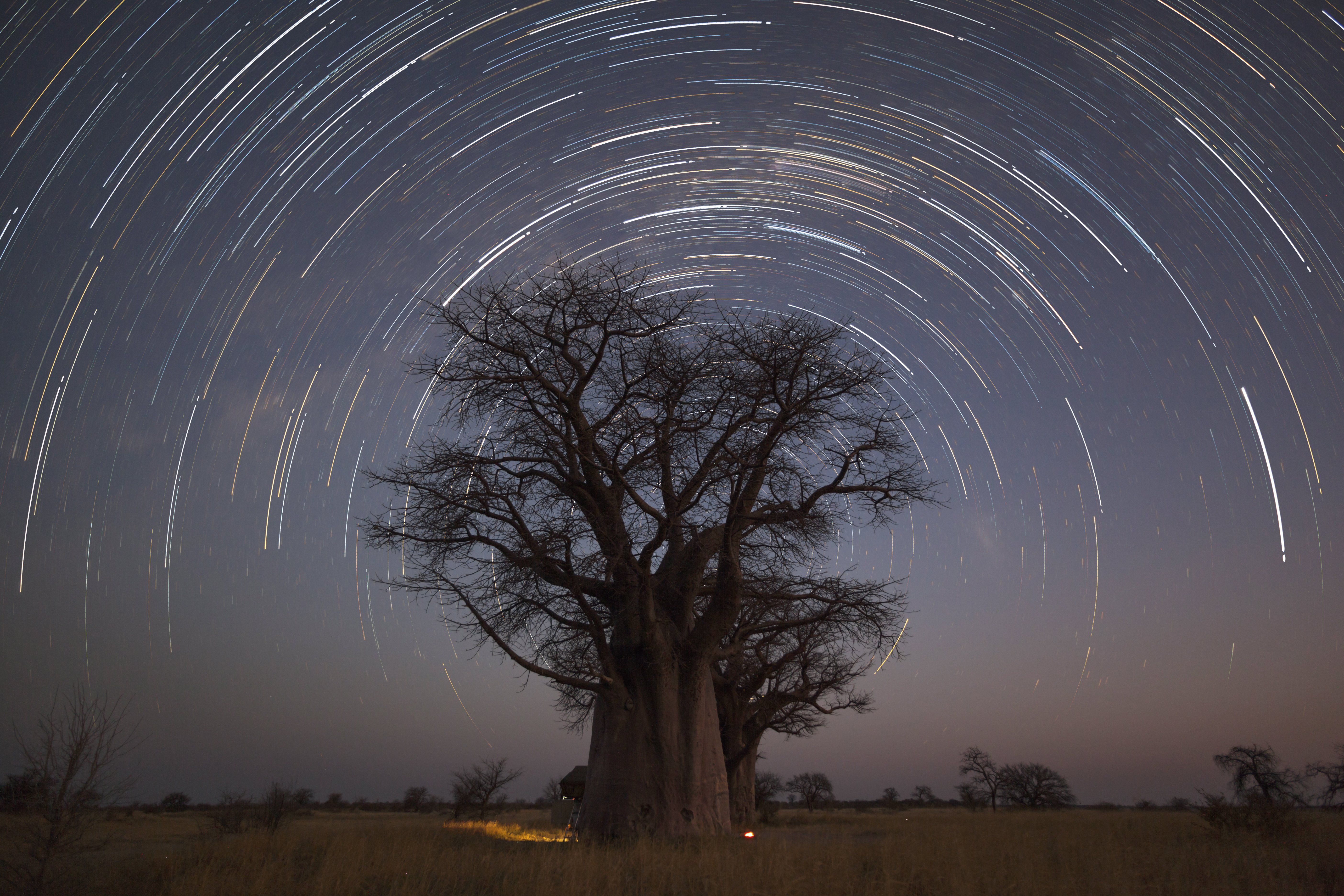 Startrail,At,Baines,Campsite » Tembo Safari