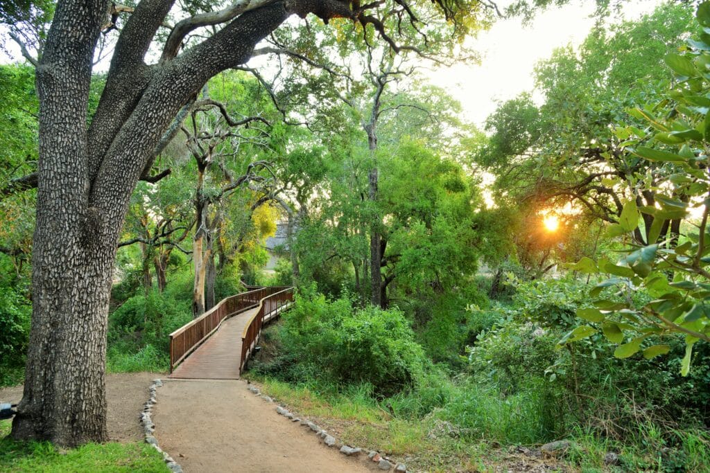 Imbali Safari Lodge