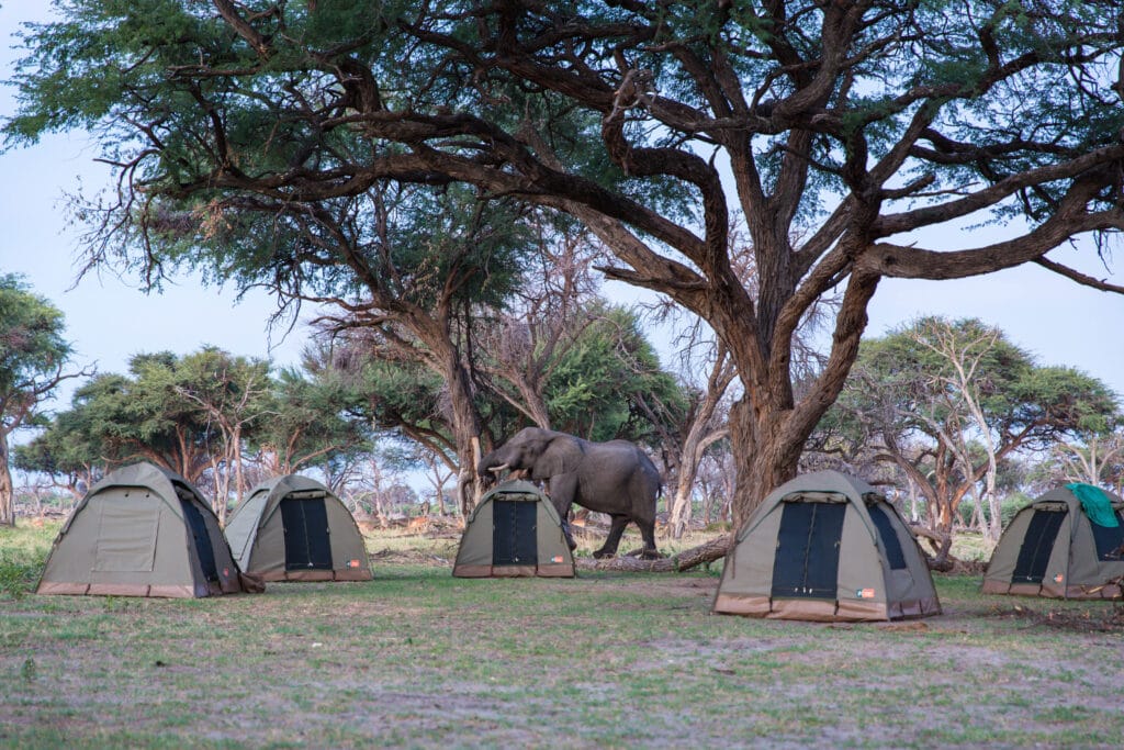 Bushways fuldt serviceret camping