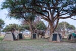 Bushways fuldt serviceret camping
