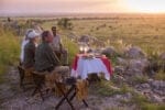 Tarangire Treetops Lodge