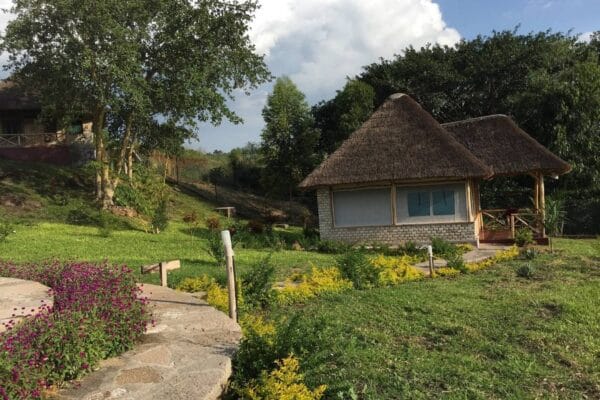 Baboon Safari Resort